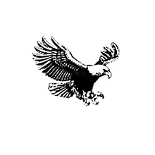 CYRYL GLOBAL LINKS LIMITED  logo